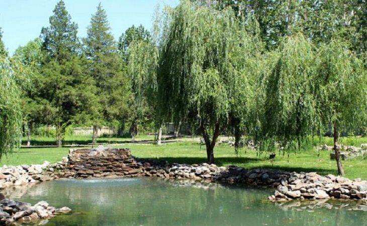 Туры в Узбекистан. Мерсиан - узбекское гостеприимство